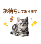 敬語のアメショスタンプ（個別スタンプ：24）
