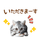 敬語のアメショスタンプ（個別スタンプ：29）