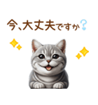 敬語のアメショスタンプ（個別スタンプ：30）
