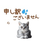 敬語のアメショスタンプ（個別スタンプ：36）