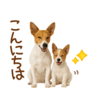 敬語で伝える♡ジャックラッセル親子（個別スタンプ：2）