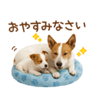 敬語で伝える♡ジャックラッセル親子（個別スタンプ：4）