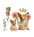 敬語で伝える♡ジャックラッセル親子（個別スタンプ：7）