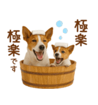 敬語で伝える♡ジャックラッセル親子（個別スタンプ：20）