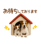 敬語で伝える♡ジャックラッセル親子（個別スタンプ：24）