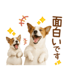 敬語で伝える♡ジャックラッセル親子（個別スタンプ：32）