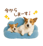 敬語で伝える♡ジャックラッセル親子（個別スタンプ：34）