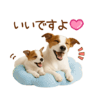 敬語で伝える♡ジャックラッセル親子（個別スタンプ：35）