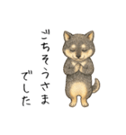敬語の黒柴・イラストスタンプ（個別スタンプ：19）