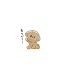 もこもこちびプードル（個別スタンプ：8）