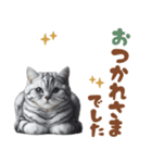 いつでも使えるアメショスタンプ（個別スタンプ：36）