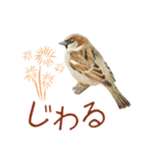 気持ち伝わる♡スズメの恩返し（個別スタンプ：9）