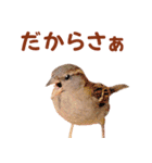 気持ち伝わる♡スズメの恩返し（個別スタンプ：14）