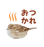気持ち伝わる♡スズメの恩返し（個別スタンプ：15）
