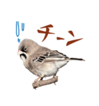 気持ち伝わる♡スズメの恩返し（個別スタンプ：16）