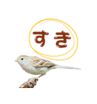 気持ち伝わる♡スズメの恩返し（個別スタンプ：17）
