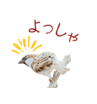 気持ち伝わる♡スズメの恩返し（個別スタンプ：22）