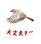 気持ち伝わる♡スズメの恩返し（個別スタンプ：25）