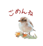 気持ち伝わる♡スズメの恩返し（個別スタンプ：27）