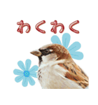 気持ち伝わる♡スズメの恩返し（個別スタンプ：28）