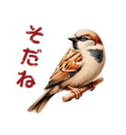 気持ち伝わる♡スズメの恩返し（個別スタンプ：36）