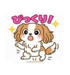 もみじ(保護犬キャバリア2)（個別スタンプ：1）
