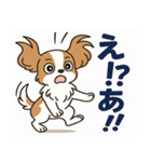 もみじ(保護犬キャバリア2)（個別スタンプ：2）