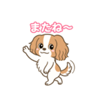 もみじ(保護犬キャバリア2)（個別スタンプ：7）