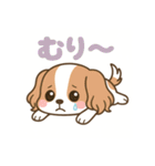 もみじ(保護犬キャバリア2)（個別スタンプ：8）