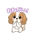 もみじ(保護犬キャバリア2)（個別スタンプ：10）