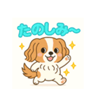 もみじ(保護犬キャバリア2)（個別スタンプ：13）