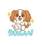 もみじ(保護犬キャバリア2)（個別スタンプ：14）