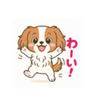 もみじ(保護犬キャバリア2)（個別スタンプ：15）
