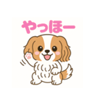 もみじ(保護犬キャバリア2)（個別スタンプ：16）