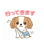 もみじ(保護犬キャバリア2)（個別スタンプ：23）