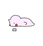 へいぼんなぶたさん2（個別スタンプ：20）