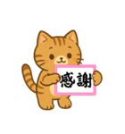 緊急！気持ちを伝えるカンペ！ネコ♡（個別スタンプ：8）