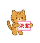 緊急！気持ちを伝えるカンペ！ネコ♡（個別スタンプ：11）