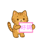 緊急！気持ちを伝えるカンペ！ネコ♡（個別スタンプ：19）