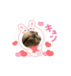 可愛い猫ちゃんの1日（個別スタンプ：2）