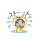 可愛い猫ちゃんの1日（個別スタンプ：3）