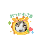 可愛い猫ちゃんの1日（個別スタンプ：5）