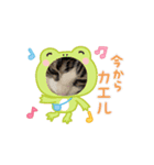 可愛い猫ちゃんの1日（個別スタンプ：7）
