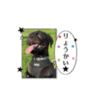 愉快な3匹達（個別スタンプ：5）