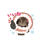 可愛いシマリスちゃん（個別スタンプ：2）