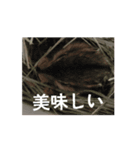 可愛いシマリスちゃん（個別スタンプ：4）
