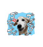 つっきぃとまっきぃが動くよ（個別スタンプ：1）