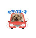 つっきぃとまっきぃが動くよ（個別スタンプ：5）