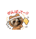 つっきぃとまっきぃが動くよ（個別スタンプ：7）