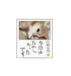 つっきぃとまっきぃが動くよ（個別スタンプ：12）